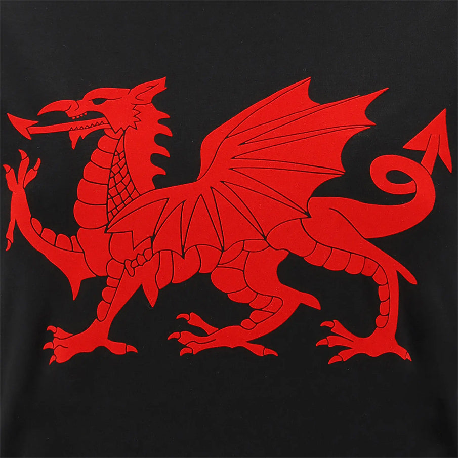 Wales WRU macron Rugby Damen T-Shirt 58195717
