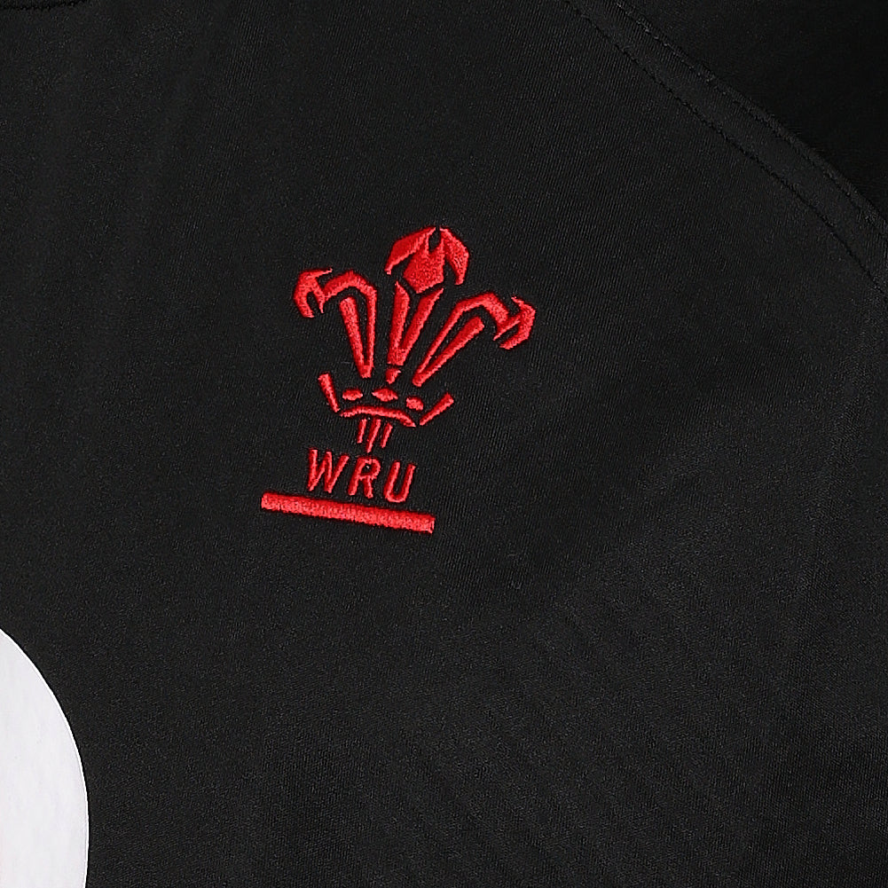 Wales WRU macron Rugby Herren Trainings Sweatshirt 58583236