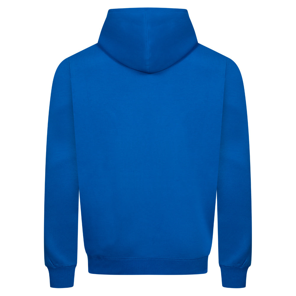 PUMA x The Hundreds Mężczyźni odwracalny Bluza z kapturem 598311-89