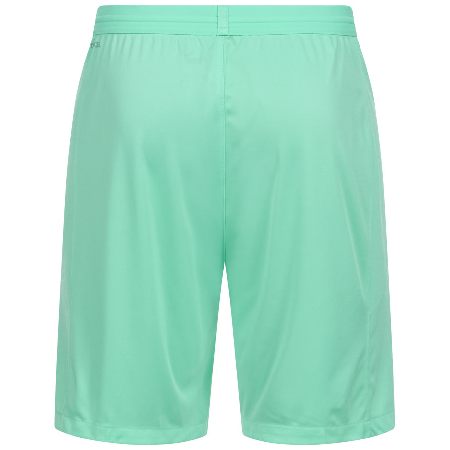 PUMA teamFINAL Herren Training Shorts 704257-21