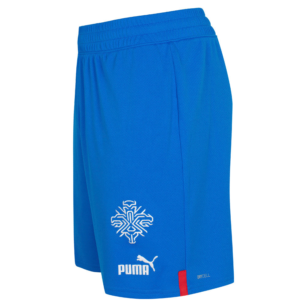 Island PUMA Herren Heim Shorts 766069-01