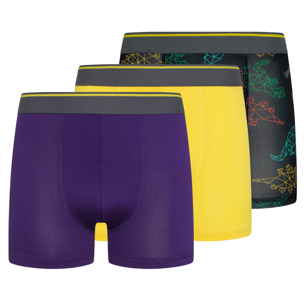Parker & Fox Performance Kinder Boxershorts 3er-Pack PRXFA24B151642-014