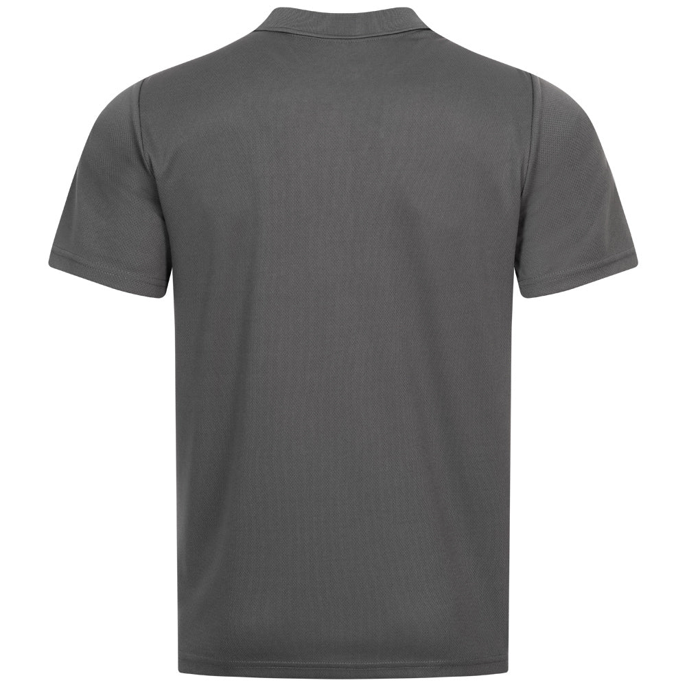 SPORTINATOR Essentials Mężczyźni Treningowa koszulka polo szary
